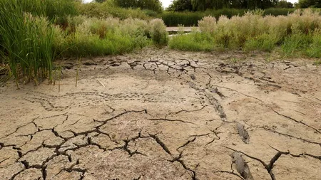 Un râu din județul Gorj a SECAT complet. Lacurile de acumulare au scăzut la 62%, avertizează Apele Române