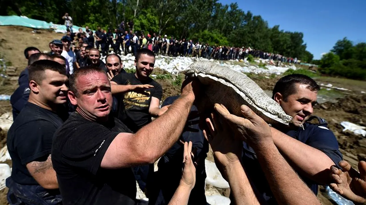 Numărătoarea inversă a început la Belgrad: mii de oameni încearcă imposibilul în acest moment