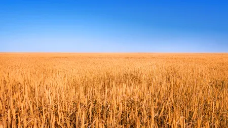 Turcia PRELUNGEȘTE acordul asupra exportului de cereale ucrainene pe Marea Neagră. Rusia a reacționat imediat