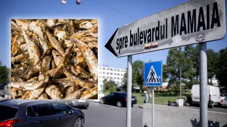 Ce reacție a avut un turist când a văzut prețul unei porții de hamsii în stațiunea Mamaia. „E la preț de aur!”