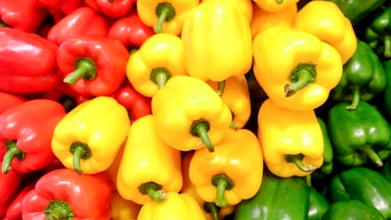 Ardeii grași galbeni, roșii și verzi nu sunt la fel! Care sunt mai buni și de ce