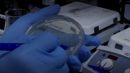 ADIO CORONAVIRUS. Soluția care te scapă de virusul depus pe suprafețe, LANSATĂ pe piață din mai/ Este incredibil de IEFTINĂ și de EFICIENTĂ