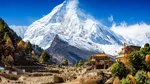 Pasărea din Himalaya care își schimbă sunetele din cauza oamenilor. Ce au descoperit cercetătorii