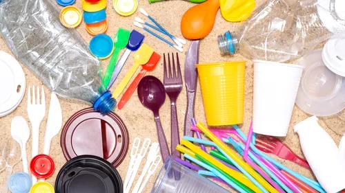 Guvernul a adoptat o ordonanță pentru reducerea impactului produselor din plastic asupra mediului - DOCUMENT