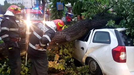 Fenomene meteo extreme | 29 de atenționări meteorologice: Copaci căzuți pe carosabil, panouri publicitare smulse, mai multe mașini avariate