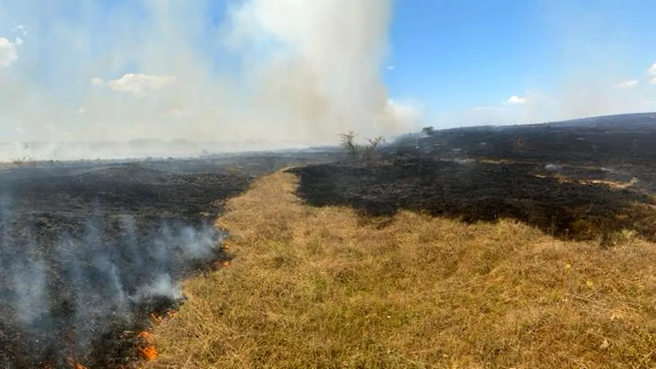 FOTO | 400 de hectare din Poligonul Babadag au luat foc în urma activităţilor executate de militari francezi. Zeci de pompieri au intervenit pentru stingerea incendiului