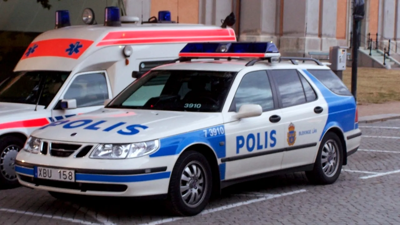 Un bărbat de 28 de ani și mama sa, uciși într-un magazin IKEA din Suedia