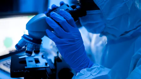 Oamenii de știință au dezvăluit ce organe umane au putut fi produse de la zero, în laborator