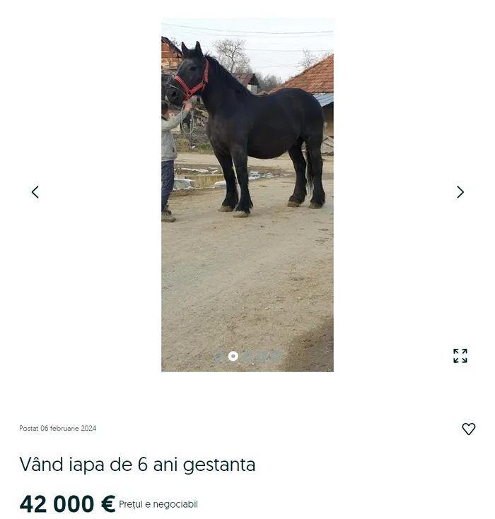 cal, olx, toyota prius 2023, pret