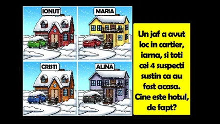 TEST IQ | Cine e hoțul din cartier: Ionuț, Maria, Cristi sau Alina?