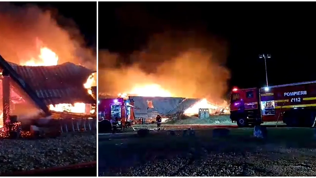 UPDATE | INCENDIU la pensiunea „Ferma Dacilor”, din Tohani, Prahova. Bilanțul provizoriu al tragediei: șapte morți (Galerie FOTO)