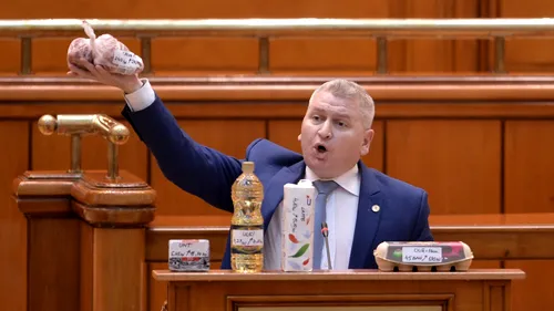 Moțiunea de cenzură împotriva Guvernului Orban, citită luni în Parlament / „A fost scrisă de Vasile, portarul de la sediul PSD