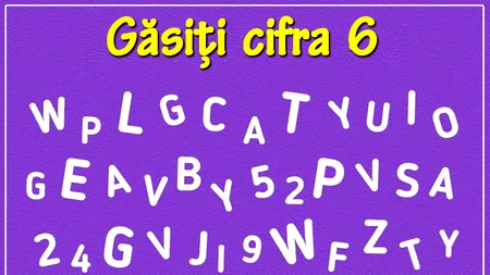 Test de perspicacitate | Găsiți cifra 6 în această poză!
