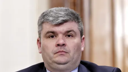 Directori silvici, schimbați politic de un secretar de stat din Ministerul Mediului care îi șantaja /Florin Cîțu anunță că liberalul și-a dat demisia