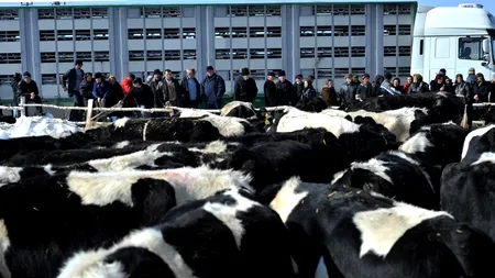 Mediafax Talks about Agriculture: România a absorbit din 2007 prin programul PNDR, peste 4 miliarde de euro, plătiți către beneficiari