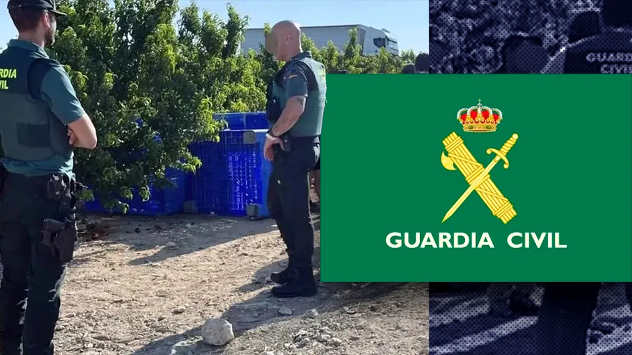 Zeci de ROMÂNI au fost transformați în sclavi pe plantații în Spania