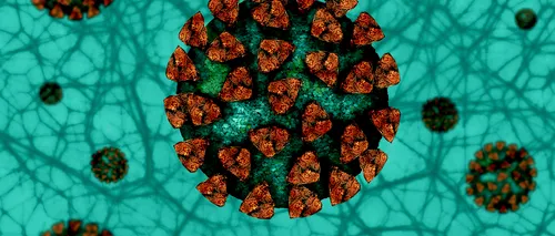Virusul care provoacă tulpina <i class='ep-highlight'>SARS</i>-<i class='ep-highlight'>CoV</i>-2 acumulează mutații genetice. Aproape toate cazurile din SUA, din primul val al pandemiei, au fost cauzate de tulpina contagioasă