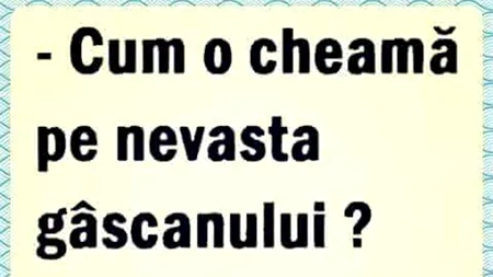 Bancul de marți | Cum o cheamă pe nevasta gâscanului?