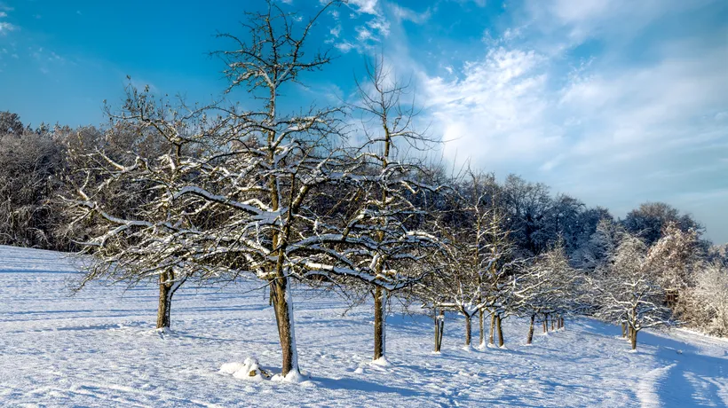 Fenomenul meteo care ar putea aduce o iarnă extrem de geroasă. Ce spun specialiștii