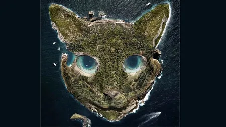 TEST psihologic | Ești o persoană calmă sau nervoasă? Ce vezi prima dată în această imagine?