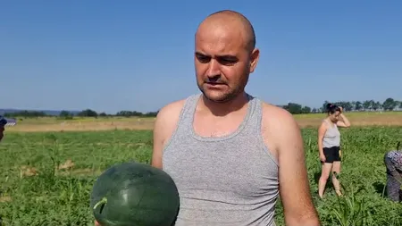 S-au copt primii pepeni în Dolj. Au ieșit mai devreme din cauza caniculei, dar sunt mai scumpi