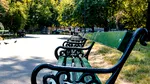 Mobilierul istoric revine în Grădina Cișmigiu. Sute de scaune au fost recondiționate de ALPAB