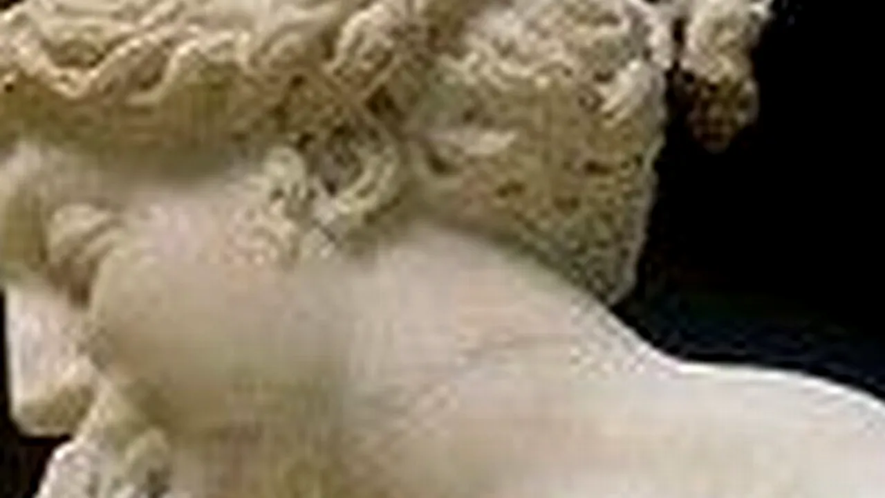 Fotografia ELIMINATĂ dintr-o galerie de artă, pe motiv că incită la zoofilie