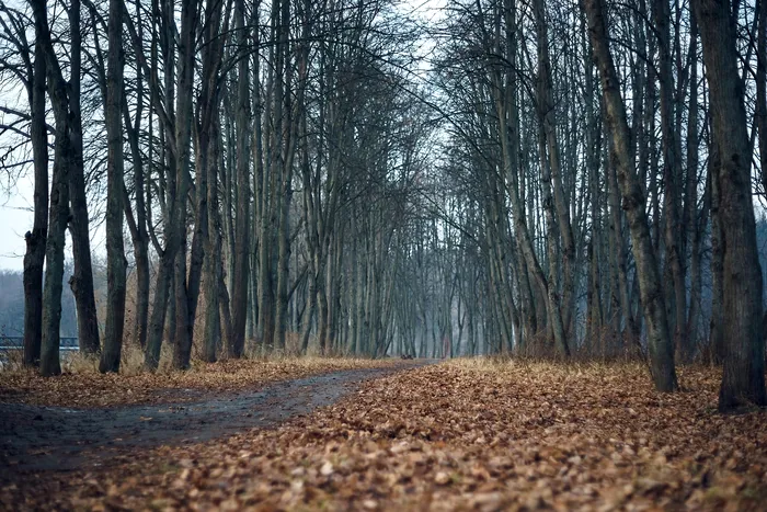 FOTO - Caracter ilustrativ