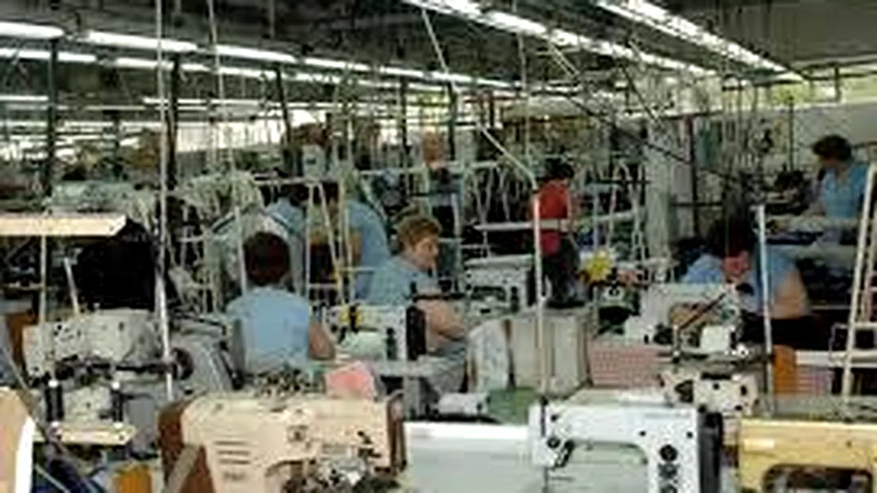 Ce le-a spus polițiștilor directorul firmei din Prahova care și-a făcut angajații 