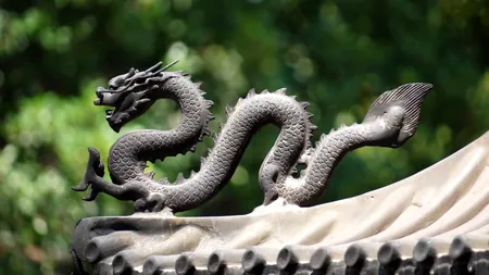 Ce ne ADUCE Anul Șarpelui de Lemn în 2025. Potrivit zodiacului chinezesc, are loc la fiecare 60 de ani