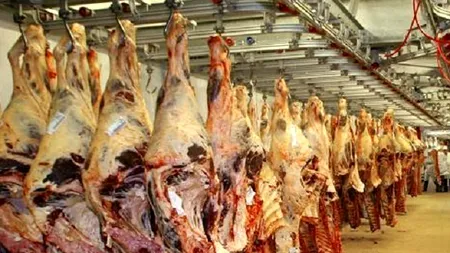 Un ministru francez descrie circuitul comercial al cărnii de cal, de la un atelier din România, până în magazinele englezești