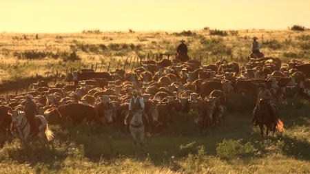 Cea mai mare fermă din SUA, de vânzare pentru 725 milioane de dolari