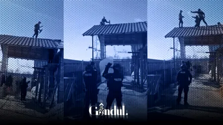 Intervenție ca în filme în Argeș. Un bărbat care a încercat să lovească cu sabia un luptător SAS a fost împușcat în picior. De la ce a pornit totul