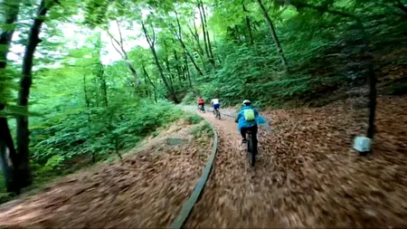 Pădurea-PARC din România pe care nu ai cum să o ratezi. Se află într-o celebră stațiune balneară