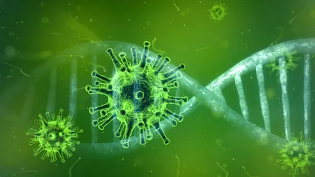 Noua tulpină de COVID-19, confirmată și în România. Dan Oțelea, șeful laboratorului de Genetică de la Matei Balș: „Are mutații care o identifică ca fiind tulpina ce a dus la multe îmbolnăviri semnalate în sudul Marii Britanii” (EXCLUSIV)