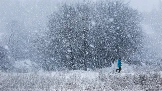 Prognoza ANM anunță ninsori de Crăciun. România, prinsă între anticiclonul azoric și ciclonul mediteranean