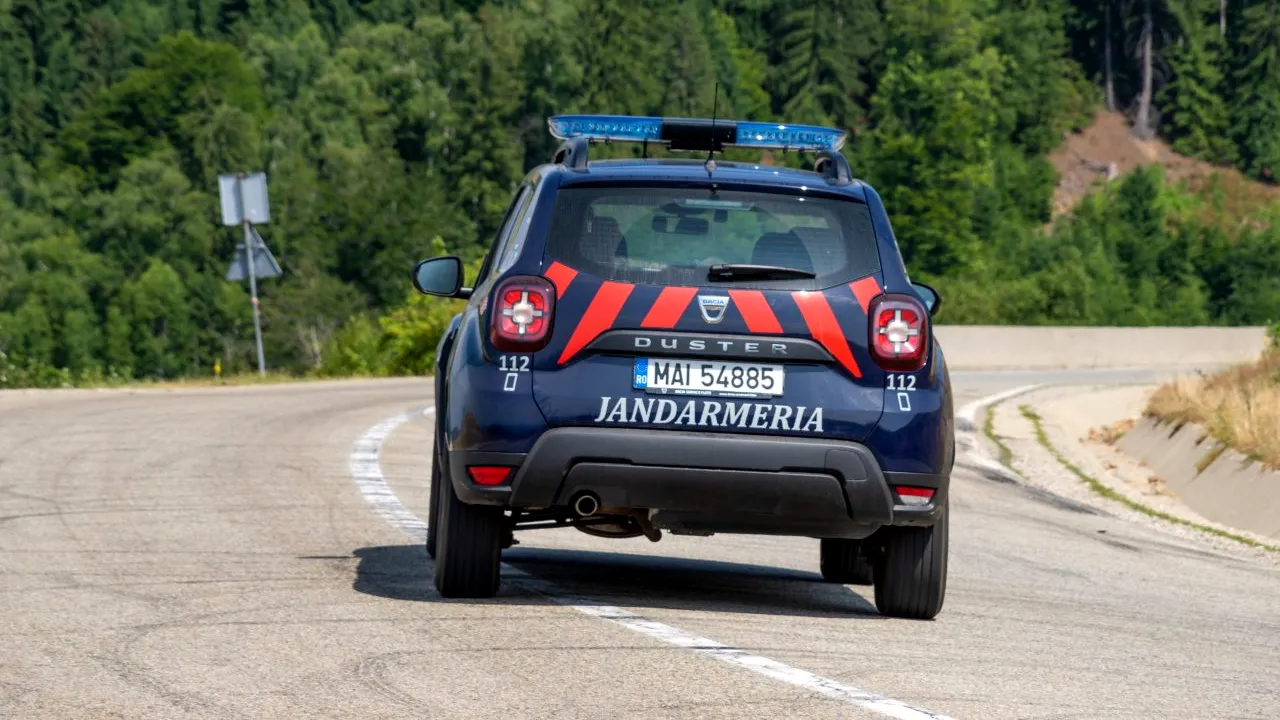 Situație revoltătoare în județul Cluj. Doi jandarmi, agresați de mai mulți bărbați pe care îi prinseseră la furat de lemne | VIDEO