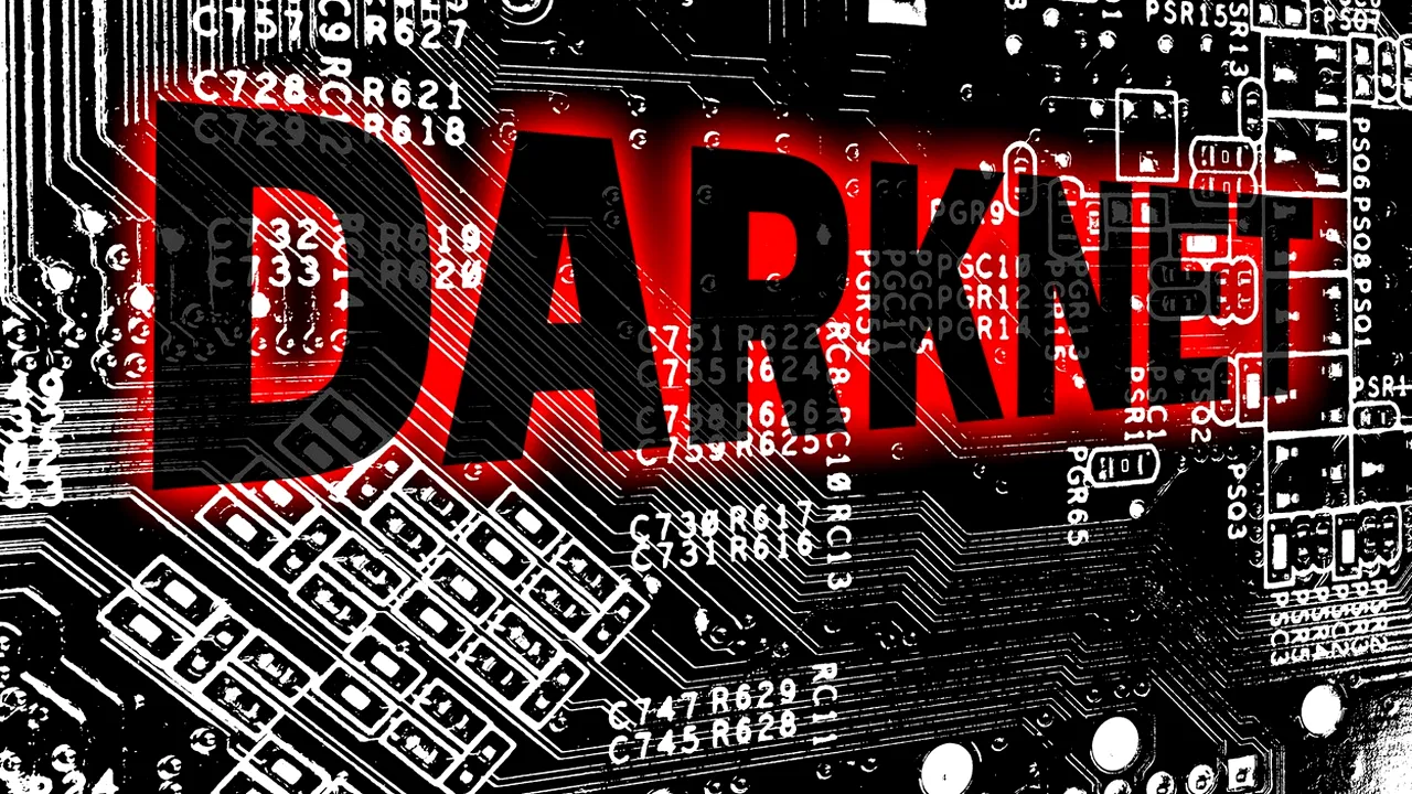 Germania a închis Hydra Market, platforma darknet în limba rusă cu cea mai mare cifră de afaceri la nivel mondial: ”Active Bitcoin în valoare de circa 23 milioane de euro au fost securizate”