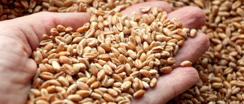 Bulgaria RIDICĂ interdicția asupra importurilor de cereale ucrainene. „Este nevoie de garantarea securității alimentare la scară mondială”