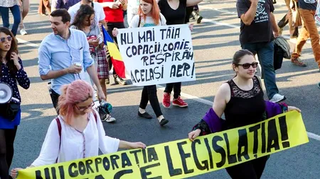 Aproape 200 de oameni au protestat în Capitală față de despăduriri. Câțiva manifestanți, ridicați de jandarmi