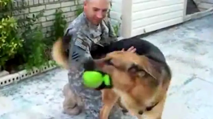 VIDEO: Reacția unui câine când își revede stăpânul, un soldat plecat mult timp de acasă
