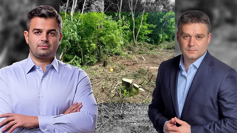 Acuzații grave pentru primarul Sectorului 6. Adrian Vigheciu: „Ciprian Ciucu taie ilegal sute de copaci în Zona Valea Largă. Un proiect arogant”