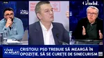 Cristoiu vede în Lia Olguța Vasilescu salvarea PSD. Social-democrații sunt într-un punct critic în istoria de 36 de ani a partidului