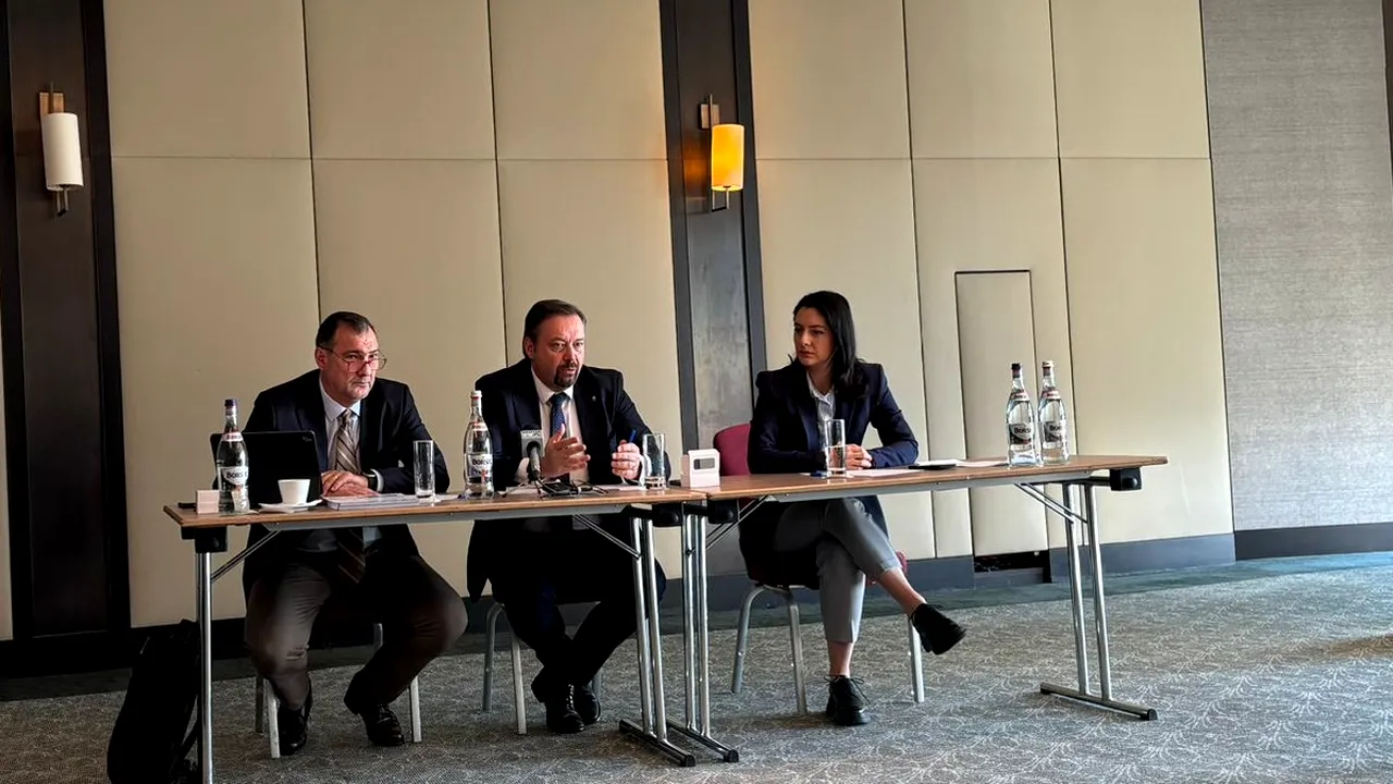 Conducerea Federației Patronale a Energiei, fostă FPPG, crede că menținerea schemei de plafonare după 31 martie nu e o soluție. Care sunt propunerile