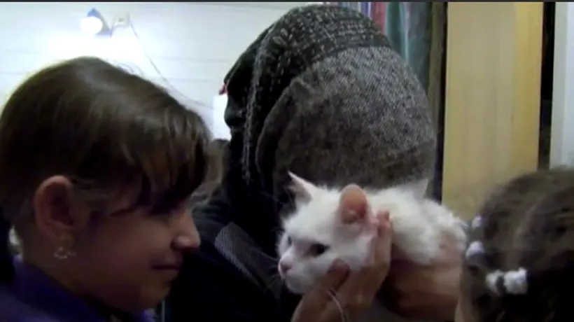 Povestea lui Kunkush, pisica unei familii de refugiați, care a mobilizat mii de oameni pentru a ajunge acasă