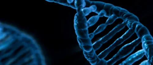 Cele mai comune trăsături umane despre care nu știm că sunt, de fapt, mutații genetice