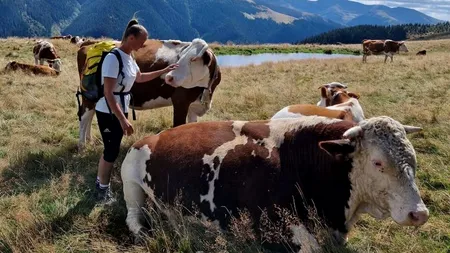 AFACEREA cu care a dat lovitura o româncă, după 7 ani de muncă în Germania: „E foarte greu, dar nu mă văd făcând altceva”