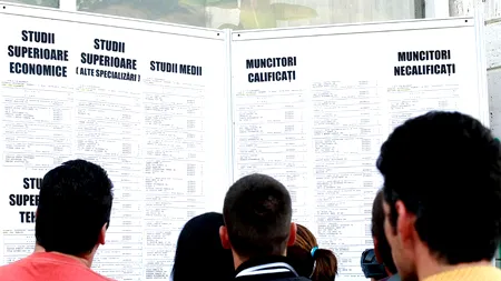 Peste 11.000 de locuri de muncă vacante, la nivel național. Județele cu cele mai multe oferte