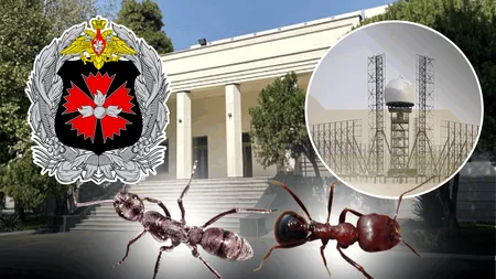 Cum au ajuns niște colonii de furnici extrem de rare victime colaterale în războiul din Iran. Insectele erau ascunse în Ambasada Rusiei și aparțineau ofițerului GRU responsabil de succesul radarelor rusești – distruse încă din prima zi de război