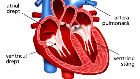 (P) CUM SĂ NE DESCURCĂM CU TENSIUNEA CRESCUTĂ?